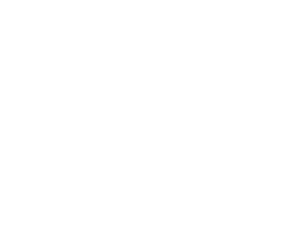 Blue Cross Blue Shield